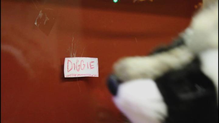 Thumbnail image for Blanchard Boulevard: A Day with Diggie and Quinn